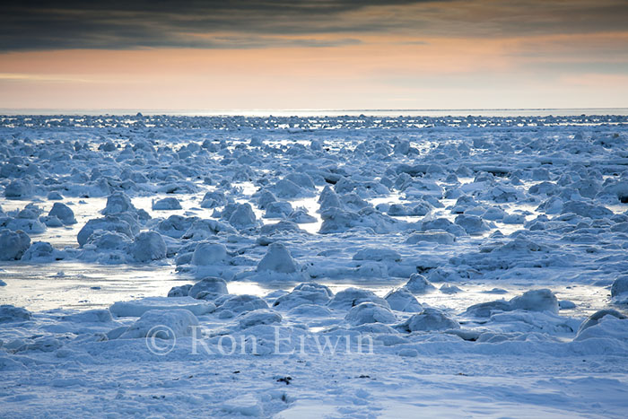 Hudson Bay Dawn