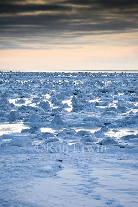 Hudson Bay Dawn