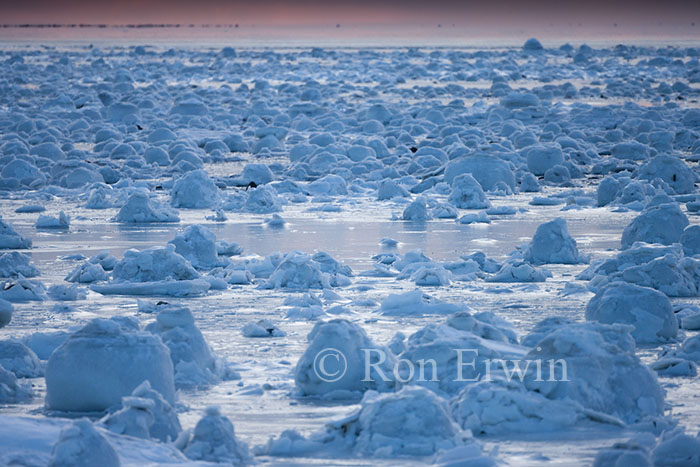 Hudson Bay Shore