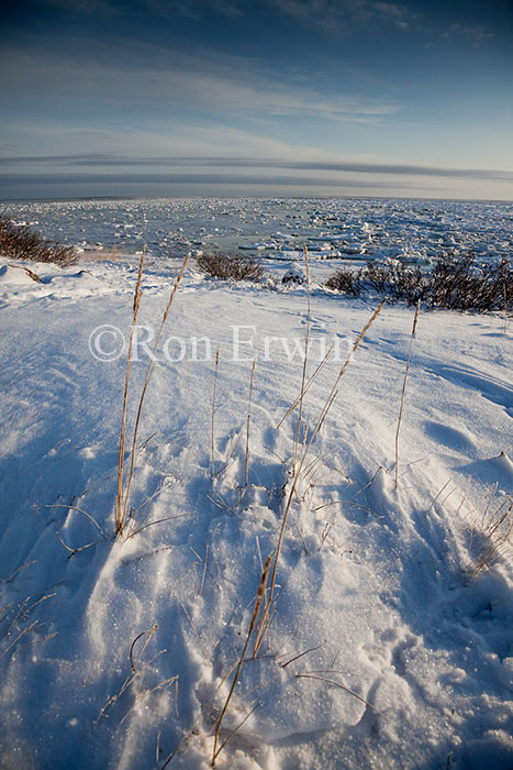 Shore of Hudson Bay