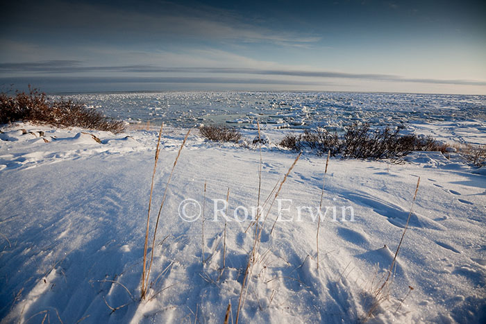 Shore of Hudson Bay, MB