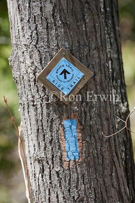 Bruce Trail Blue Blaze
