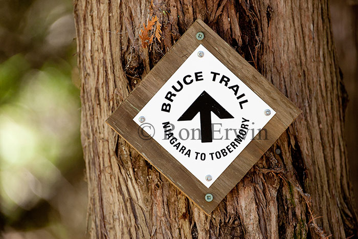 Bruce Trail White Blaze
