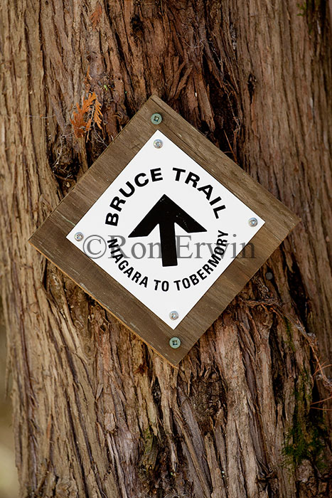 Bruce Trail White Blaze