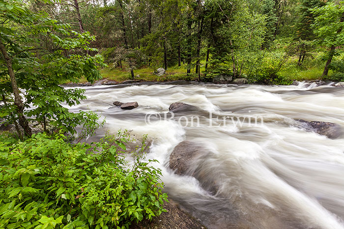 Rushing River Provincial Park