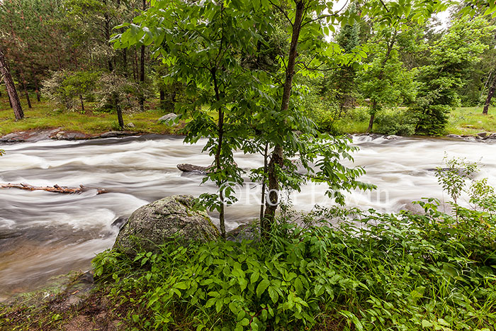 Rushing River Provincial Park
