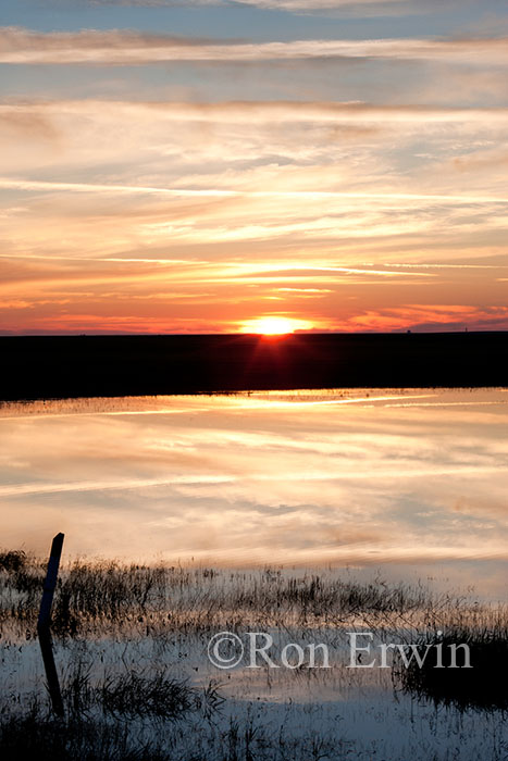 Sunrise and Flooded Fields