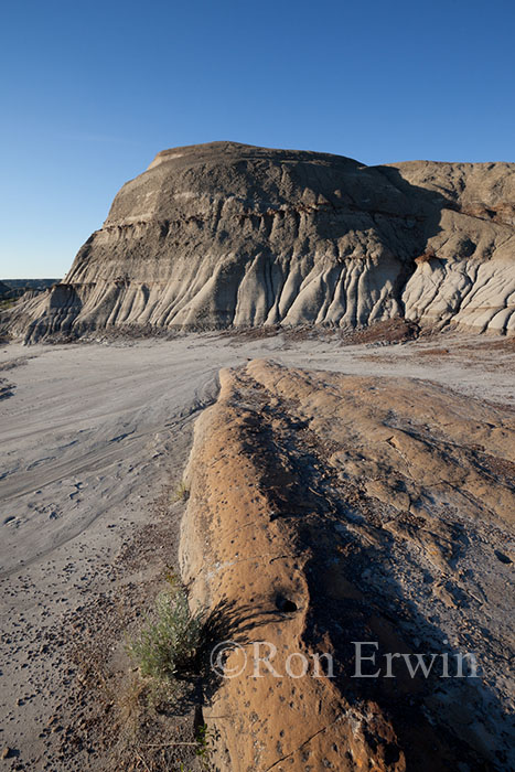 Alberta Badlands
