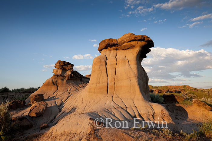 Dinosaur Provincial Park