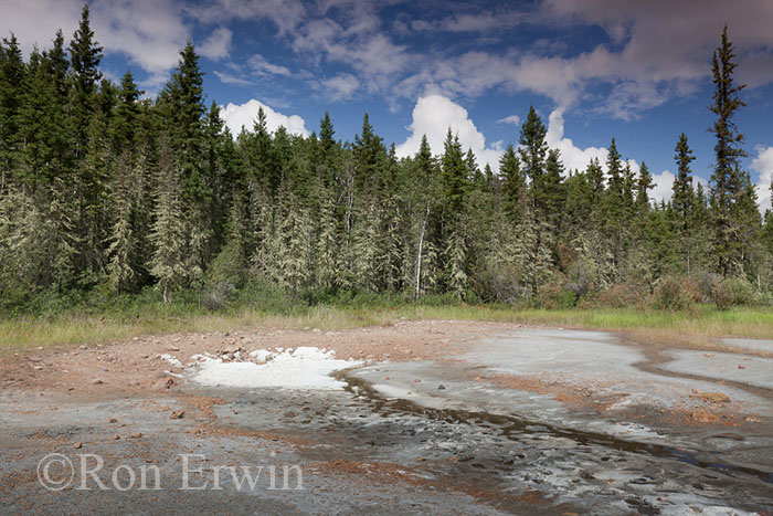 Salt Mound, Wood Buffalo National Park