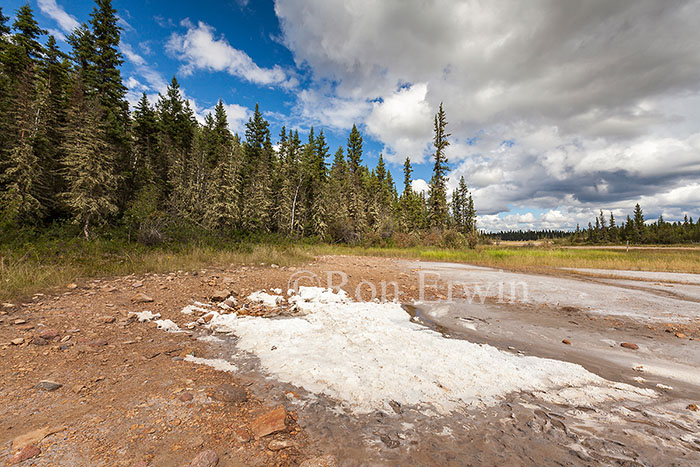 Salt Mound, Wood Buffalo National Park