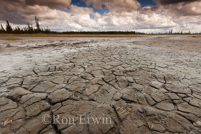 Salt Plains