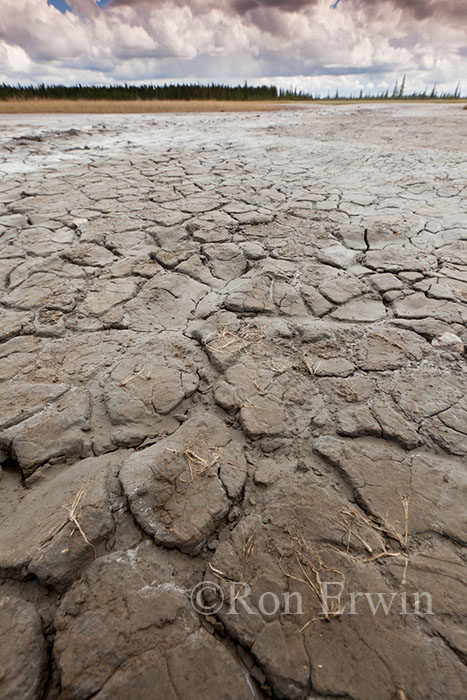 Salt Plains