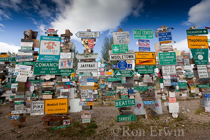 Signpost Forest