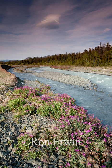 Quill Creek