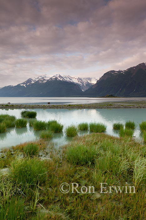 Chilkat Inlet