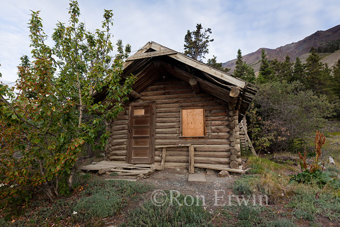 Yukon Cabin