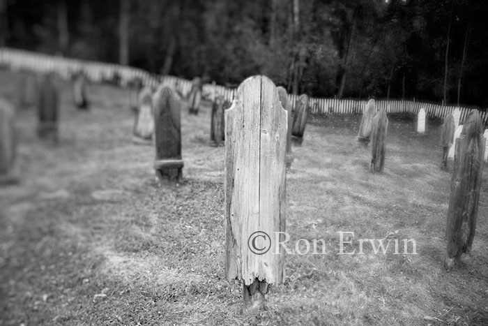 YOOP Cemetery Dawson City