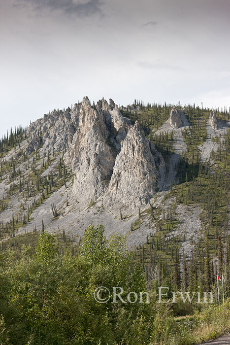 Yukon Tors