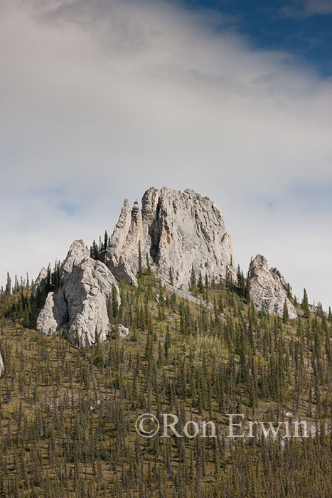Yukon Tors