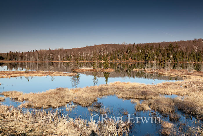 Algonquin Provincial Park