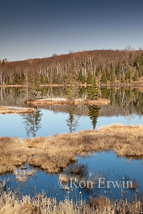 Algonquin Provincial Park