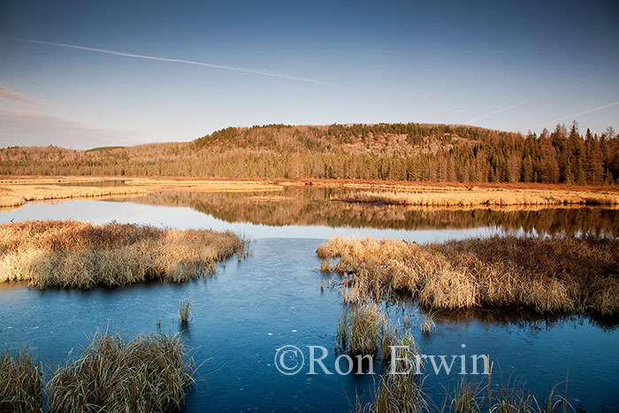 Algonquin Provincial Park