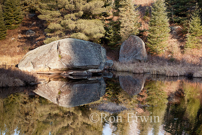 Algonquin Provincial Park