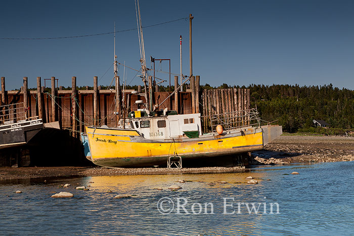 Low Tide at Alma, NB