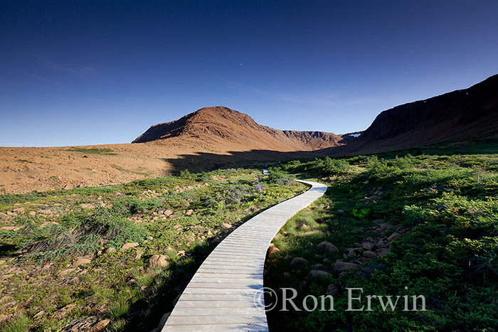 The Tablelands Boardwalk