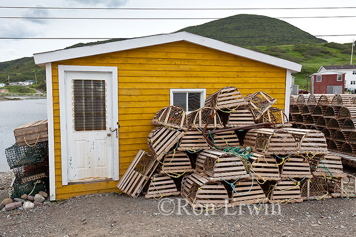 Lobster Traps in Trout River