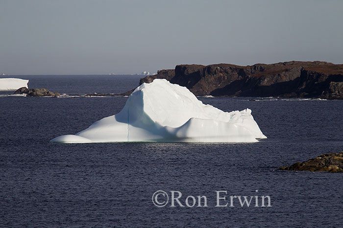 Iceberg