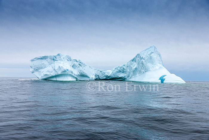 Iceberg Alley