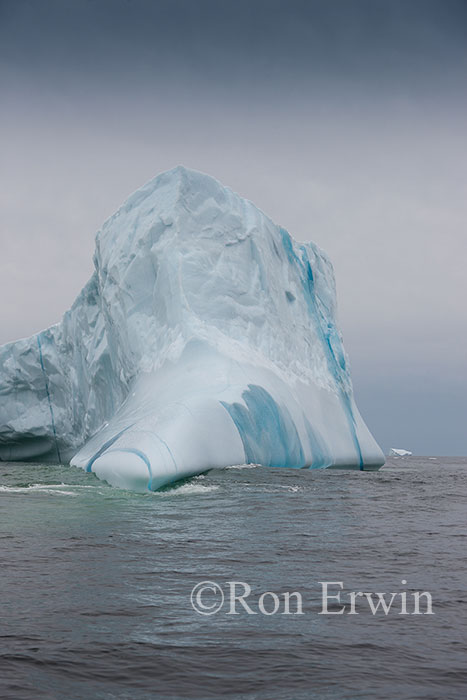 Iceberg Alley