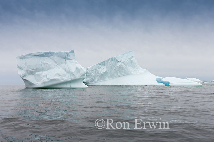 Iceberg Alley