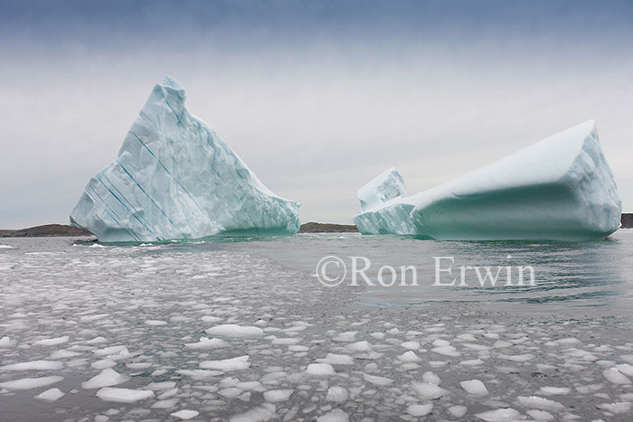 Iceberg Alley