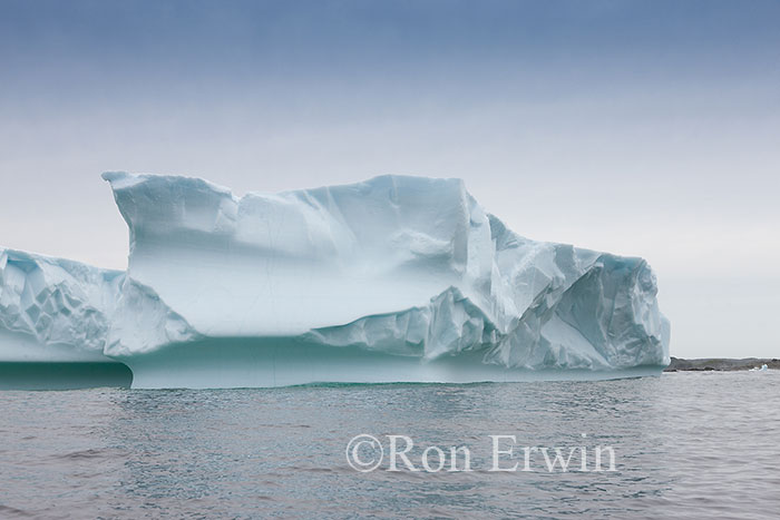 Iceberg Alley