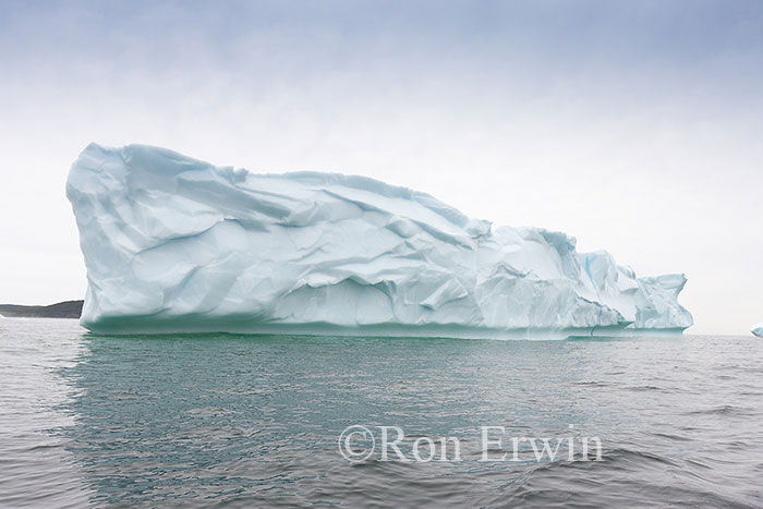 Iceberg Alley