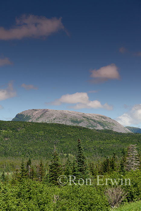 Gros Morne