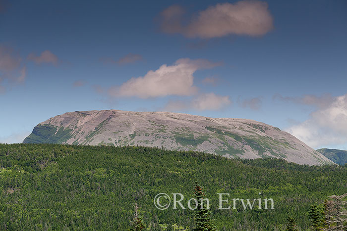Gros Morne