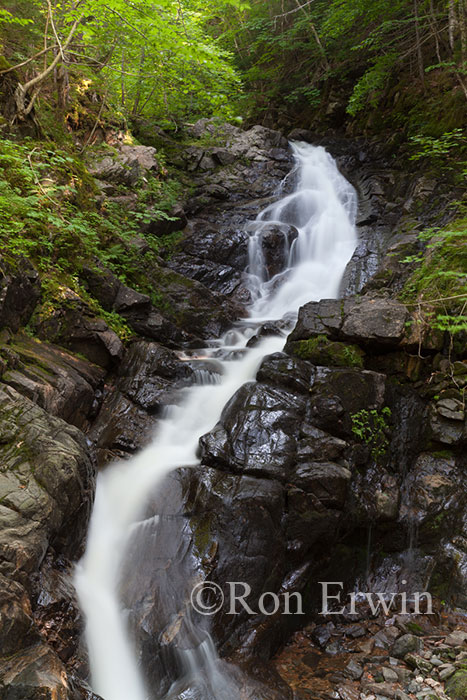 MacIntosh Brook Falls