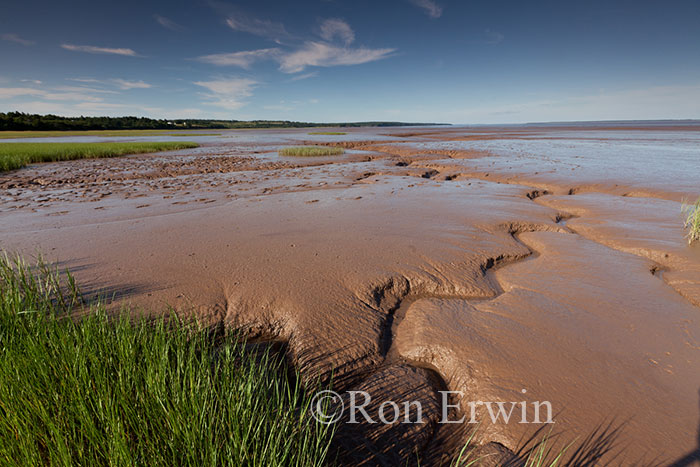Fundy at Low-tide