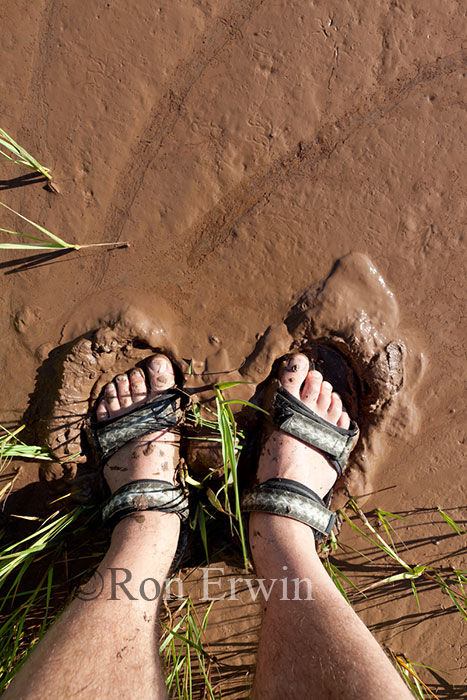 Standing in Fundy Mud