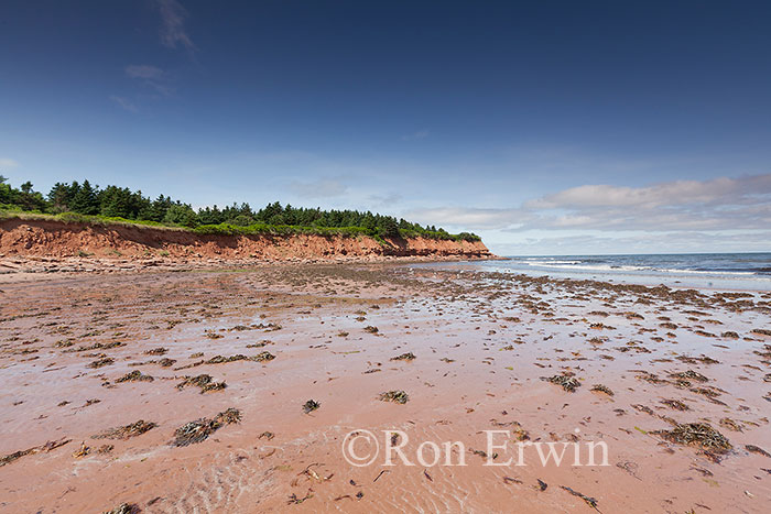 PEI Red Shoreline
