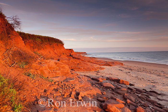 Prince Edward Island Shoreline