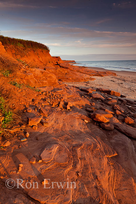 Prince Edward Island Shoreline