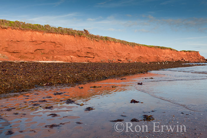 Prince Edward Island Shoreline