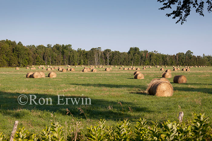 Round Hay Bales