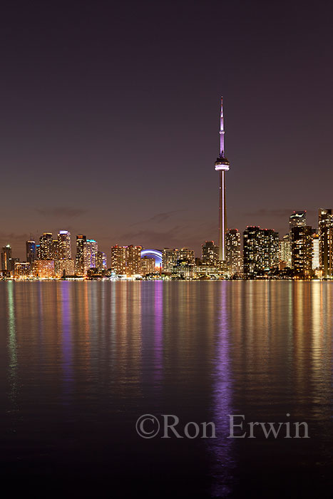Toronto Skyline at Night