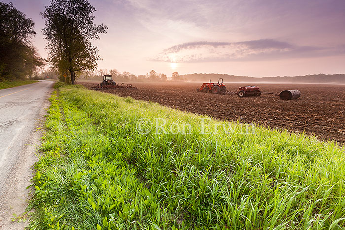 Prince Edward County Farm